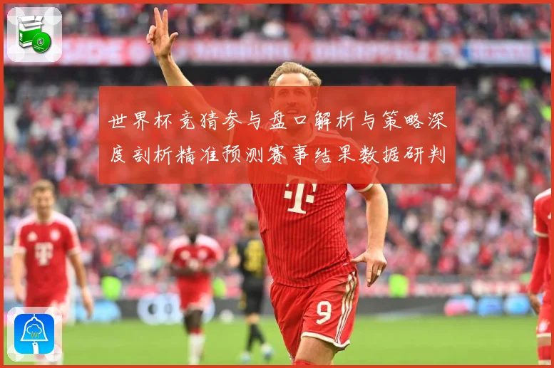 世界杯竞猜参与盘口解析与策略深度剖析精准预测赛事结果数据研判-深度解析