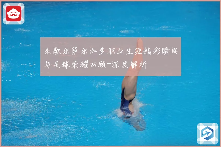 米歇尔萨尔加多职业生涯精彩瞬间与足球荣耀回顾-深度解析