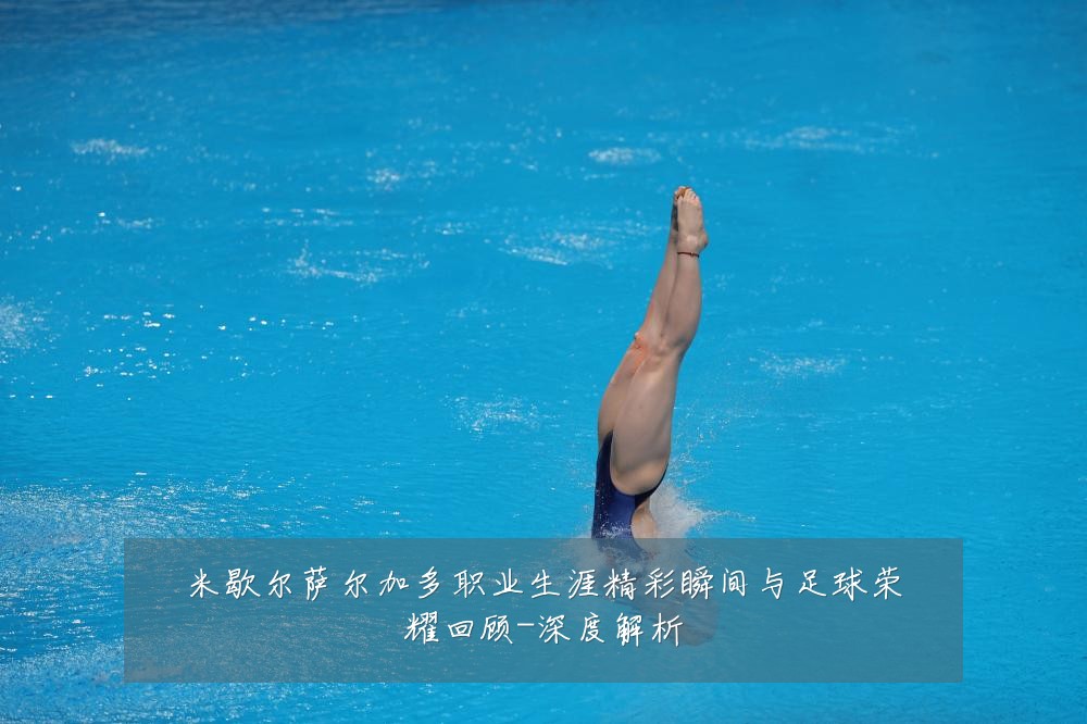 米歇尔萨尔加多职业生涯精彩瞬间与足球荣耀回顾-深度解析